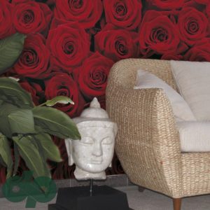 پوستر کومار 4-077