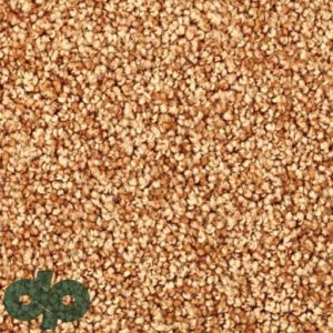 پالازموکت - یاس 5165