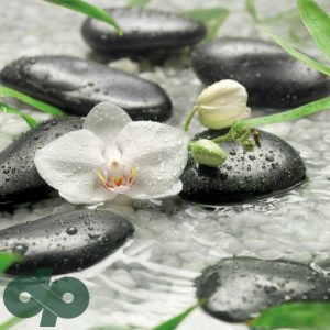 پوستر کومار 8-319