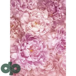 پوستر کومار XXL2-009